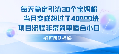 每天稳定引流30个人 当月变成超过了4个W项目流程非常简单适合小白-幽忧帮