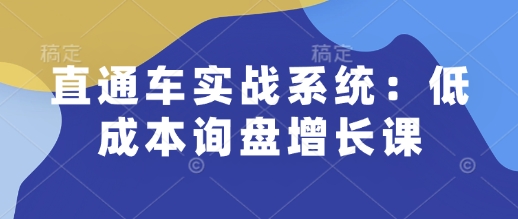 直通车实战系统：低成本询盘增长课，让个人通过技能实现升职加薪，让企业低成本获客，订单源源不断-忧忧资源网