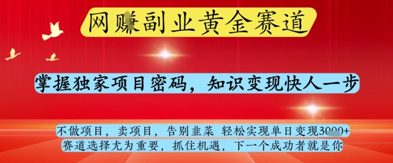 网创副业黄全赛道，掌握独家项目密码，知识变现快人一步，告别韭菜轻松实现单日变现1k+【揭秘】-忧忧资源网