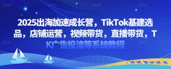 2025出海加速成长营，TikTok基建选品，店铺运营，视频带货，直播带货，TK广告投流等系统教程-忧忧资源网