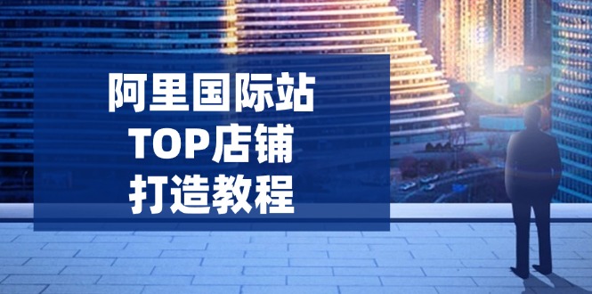 （14269期）阿里国际站TOP店铺打造教程：涵盖平台到高阶，解决运营难题，提升询盘-忧忧资源网