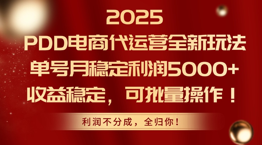 2025PDD电商代运营全新玩法，单号月稳定利润5000+，收益稳定，可批量操作-忧忧资源网