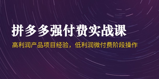 拼多多强付费实战课-44期，高利润产品项目经验，低利润微付费阶段操作-忧忧资源网