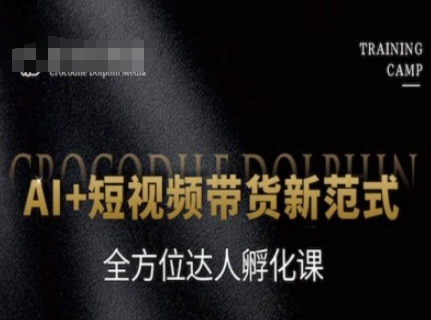 AI+短视频带货新范式，全方位达人孵化课-幽忧帮