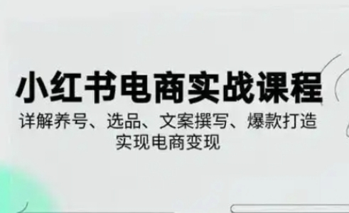 小红书从0-1实操课(2023-2025)，详解养号、选品、文案撰写、爆款打造实现电商变现-忧忧资源网
