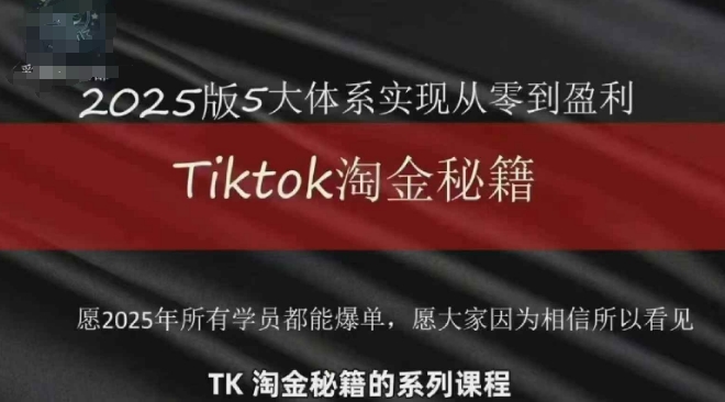 TikTok跨境2025淘金秘籍，​2025TikTok从0到盈利变现-忧忧资源网
