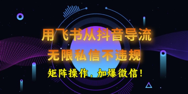 用飞书从抖音导流，无限私信不违规，抖音截流创业粉-忧忧资源网