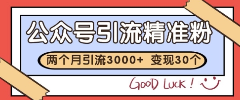 公众号精准粉引流玩法，2个月3000+精准粉，变现30个W【揭秘】-忧忧资源网