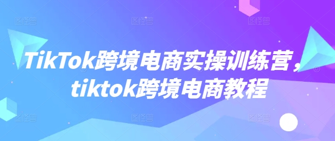 TikTok跨境电商实操训练营，tiktok跨境电商教程-忧忧资源网
