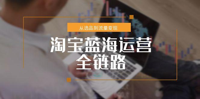 淘宝蓝海运营全链路，从选品到流量变现，小类目突围完整方案-幽忧帮