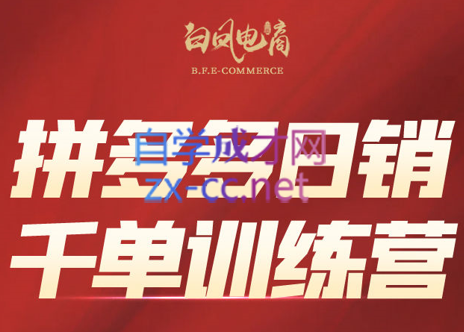 白凤电商·拼多多日销千单训练营(更新5月)-忧忧资源网