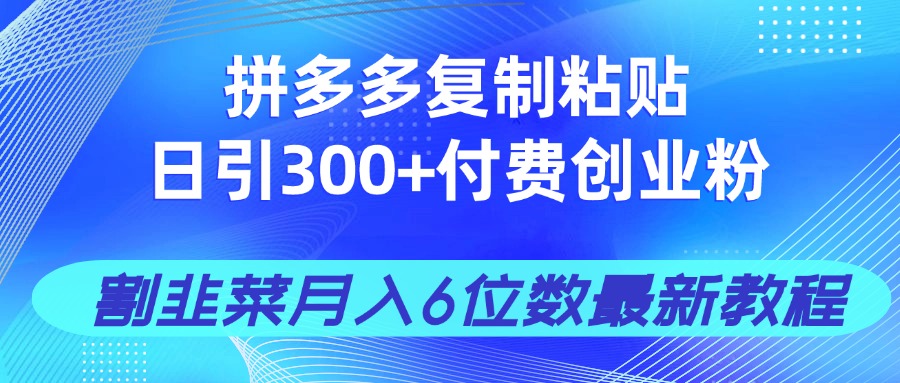 拼多多复制粘贴日引300+付费创业粉，割韭菜月入6位数最新教程！-忧忧资源网
