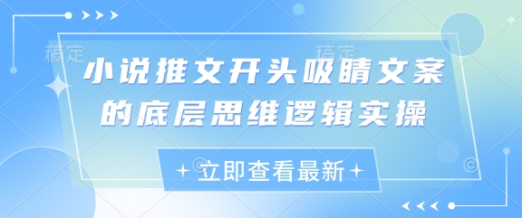 小说推文开头吸睛文案的底层思维逻辑实操-忧忧资源网