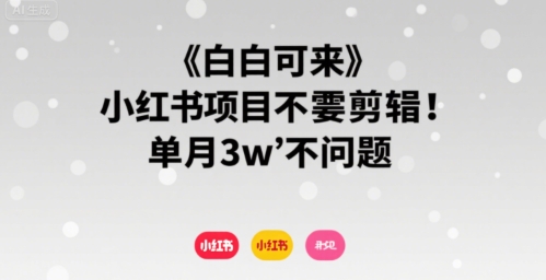 小白可来 小红书项目不需要剪辑 单月3w不是问题-幽忧帮