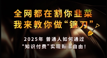 知识付费如何做到月入过W+，2025我来教你做“镰刀”【揭秘】-忧忧资源网