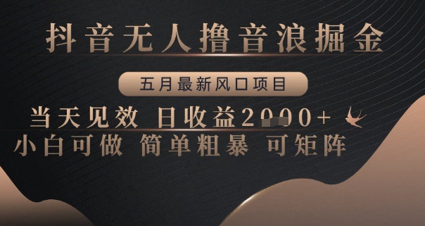 抖音无人撸音浪掘金，五月最新风口项目，当天见效，日收益多张，小白可做简单粗暴可矩阵【揭秘】-忧忧资源网