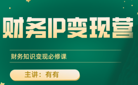 有有老师·财务IP变现营，财务知识变现必修课-幽忧帮