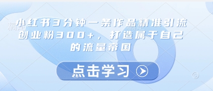 小红书3分钟一条作品精准引流创业粉300+，打造属于自己的流量帝国-忧忧资源网