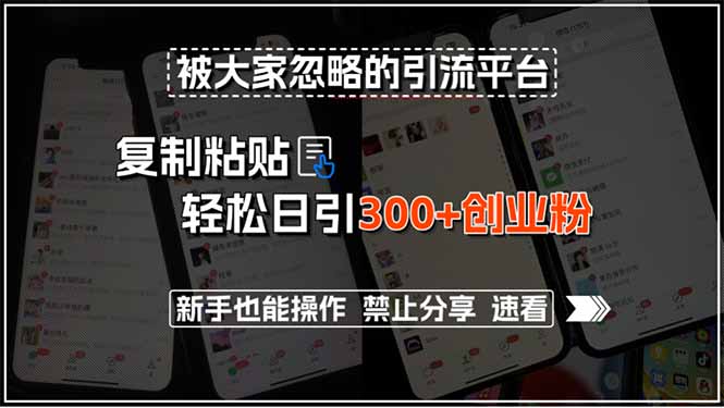 被大家忽略的引流平台，复制粘贴轻松日引300+创业粉，新手也能操作，禁…-幽忧帮