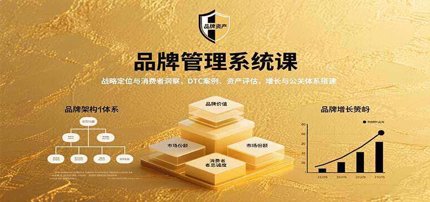 品牌管理系统课：战略定位与消费者洞察，DTC案例、资产评估，增长与公关体系搭建-幽忧帮