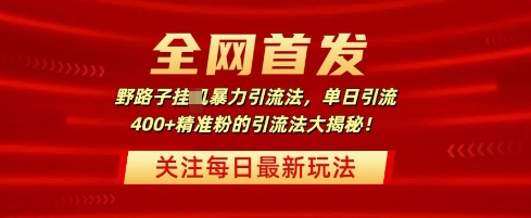 全网首发，野路子暴力引流法，单日引流400+精准粉的引流法大揭秘-忧忧资源网
