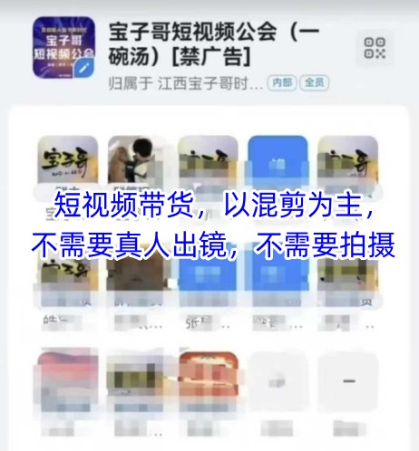 宝子哥头部团队短视频带货，以混剪为主，不需要真人出镜，不需要拍摄-忧忧资源网