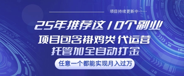 25年推荐这10个副业项目包含褂鸡类、代运营托管类、全自动打金类【揭秘】-忧忧资源网