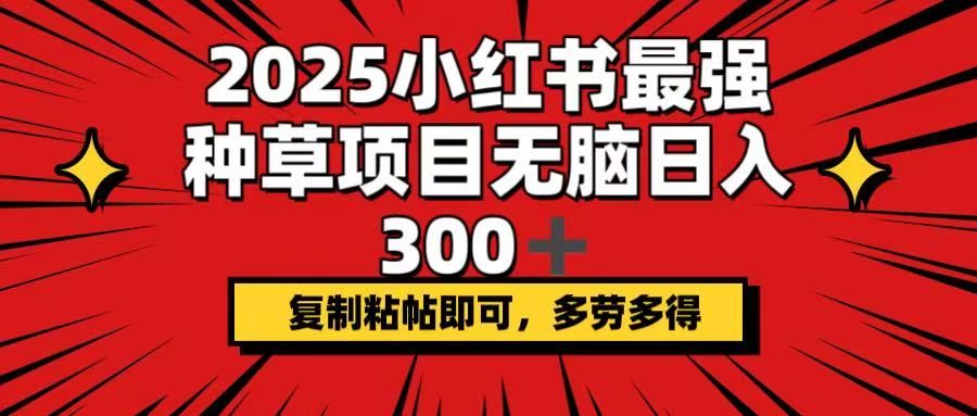（14375期）2025小红书最强种草项目，无脑日入300+，复制粘帖即可，多劳多得-忧忧资源网