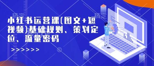小红书运营课(图文+短视频)基础规则、策划定位、流量密码-忧忧资源网