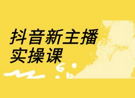 抖音新主播实操课，直播间流量运营线上实操课(18节)-忧忧资源网
