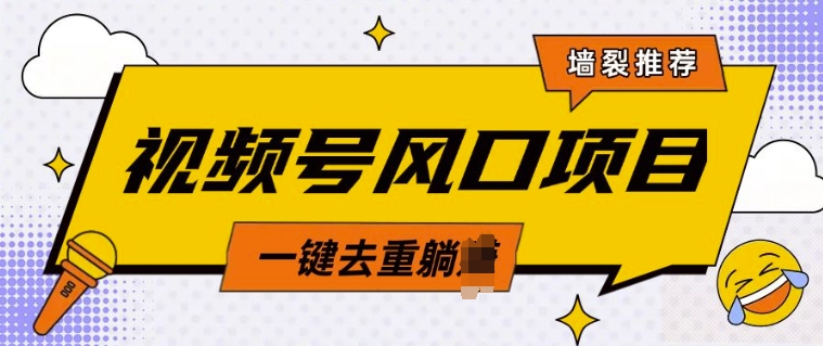 视频号风口蓝海项目，中老年人的流量密码，简单无脑，一键去重，轻松月入过W-忧忧资源网