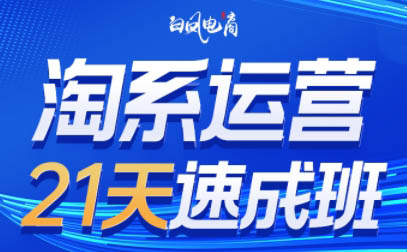 白凤电商·淘系运营21天速成班(更新4月)-忧忧资源网