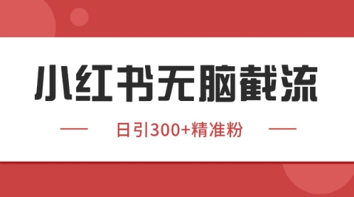 小红书只要你有同行就能获客，独家野路子获客玩法，暴力截流【揭秘】-忧忧资源网