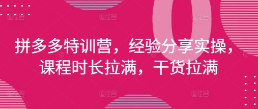 拼多多特训营，经验分享实操，课程时长拉满，干货拉满(更新25年4月)-幽忧帮