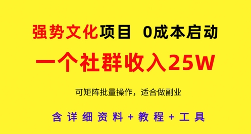 强势文化项目，一个社群收入25个W，0成本启动，可矩阵批量操作，原创详细实操教程-忧忧资源网