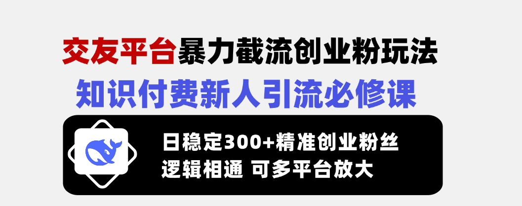 （14432期）交友平台暴力截流创业粉玩法，知识付费新人引流必修课，日稳定300+精准…-忧忧资源网