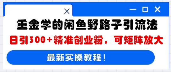 重金学的闲鱼野路子引流法，日引300+精准创业粉，可矩阵放大-忧忧资源网