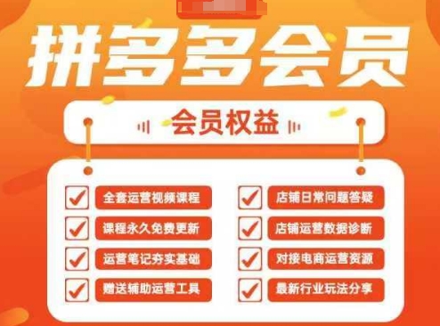 2025拼多多运营实战课，40节全流程教学，覆盖拼多多运营全链路-忧忧资源网