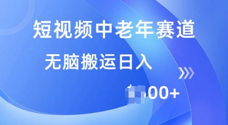 短视频中老年赛道，操作简单，多平台收益，无脑搬运日入多张-忧忧资源网