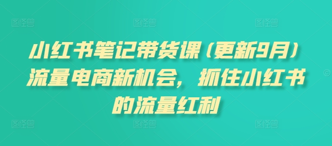 小红书笔记带货课(更新25年3月)流量电商新机会，抓住小红书的流量红利-忧忧资源网