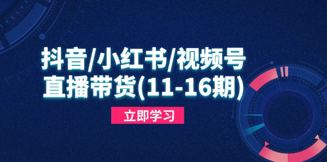 抖音/小红书/视频号/直播带货(11-16期-忧忧资源网