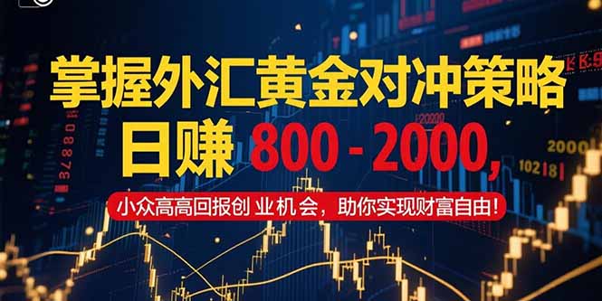 掌握外汇黄金对冲策略，日赚 800 – 2000，小众高回报创业机会，助你实…-幽忧帮