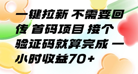 一键拉新 不需要回传 首码项目 接个验证码就算完成 一小时收益70+【揭秘】-幽忧帮