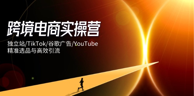 跨境电商实操营：独立站/TikTok/谷歌广告/YouTube，精准选品与高效引流-忧忧资源网