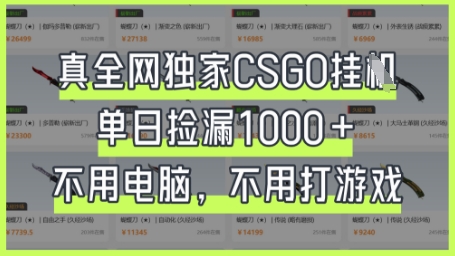 真全网独家CSGO挂G，单日捡漏1k+【揭秘】-忧忧资源网