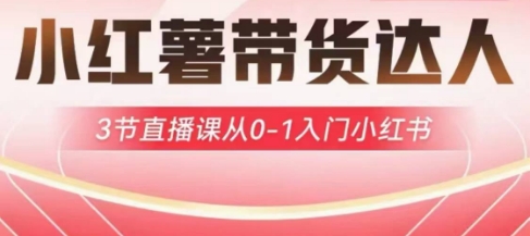 小红薯达人带货启航计划，3节直播课从0-1入门小红书-忧忧资源网
