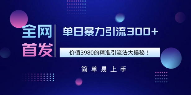 全网首发，价值3980单日暴力引流300+的精准引流法大揭秘-忧忧资源网