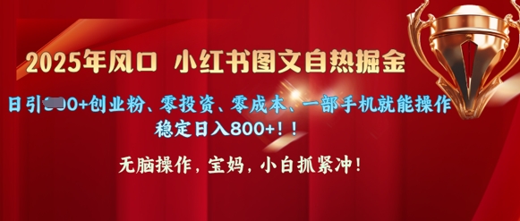 25年风口小红书图文掘金，日引300+创业粉、零投资、零成本、一部手机就能操作-忧忧资源网