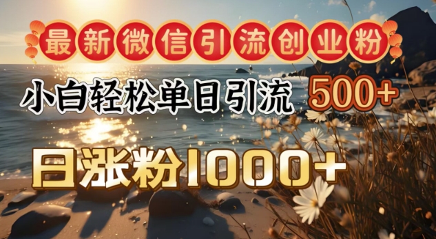 最新微信引流创业粉，小白单日轻松引流500+，日涨粉1000+-忧忧资源网