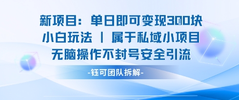 新项目单日即可变现3张的小白玩法无脑操作不封号安全引流-幽忧帮
